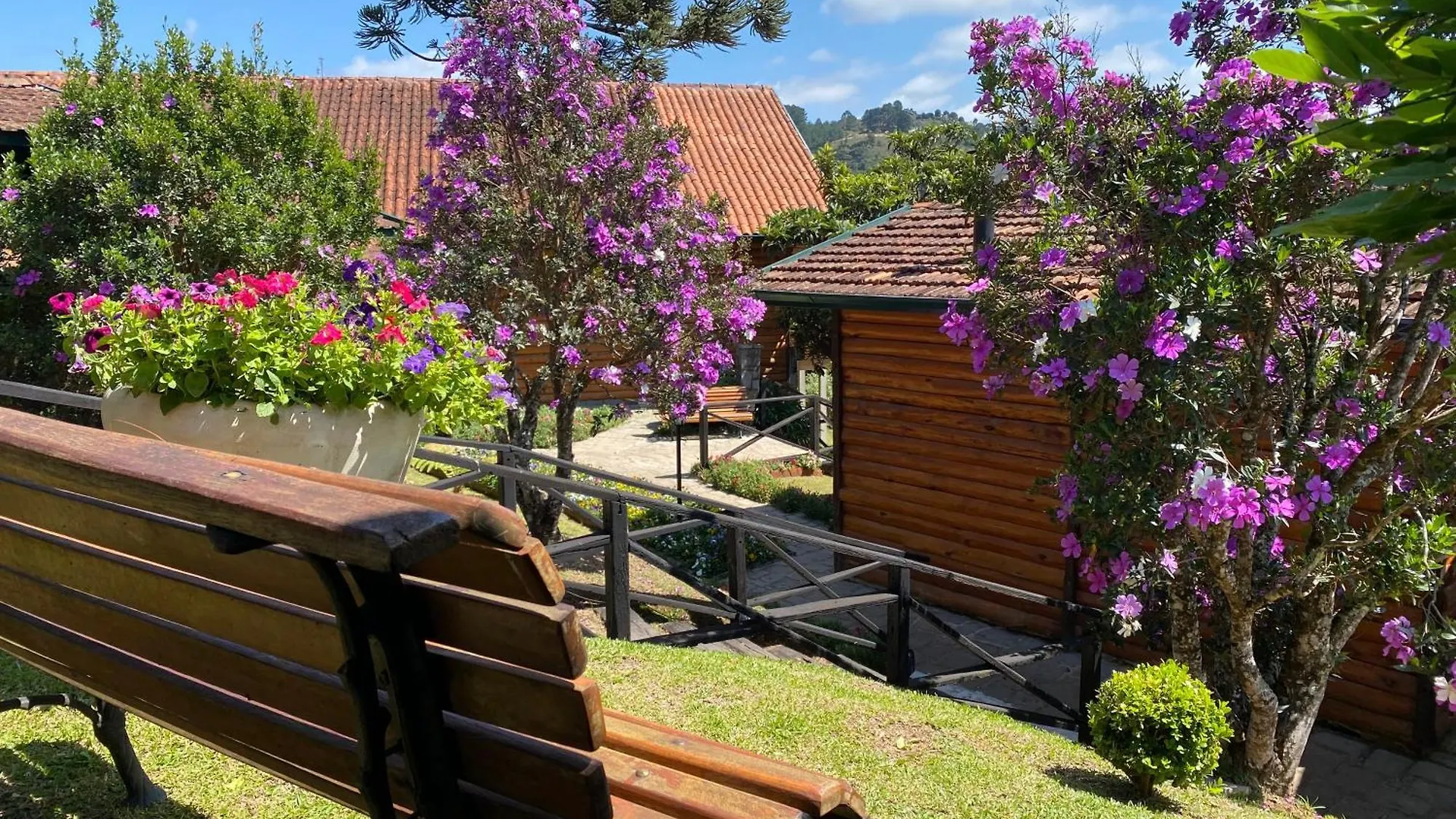 Campos do Jordão Hotel Savoy Excellence 4*, Campos do Jordão