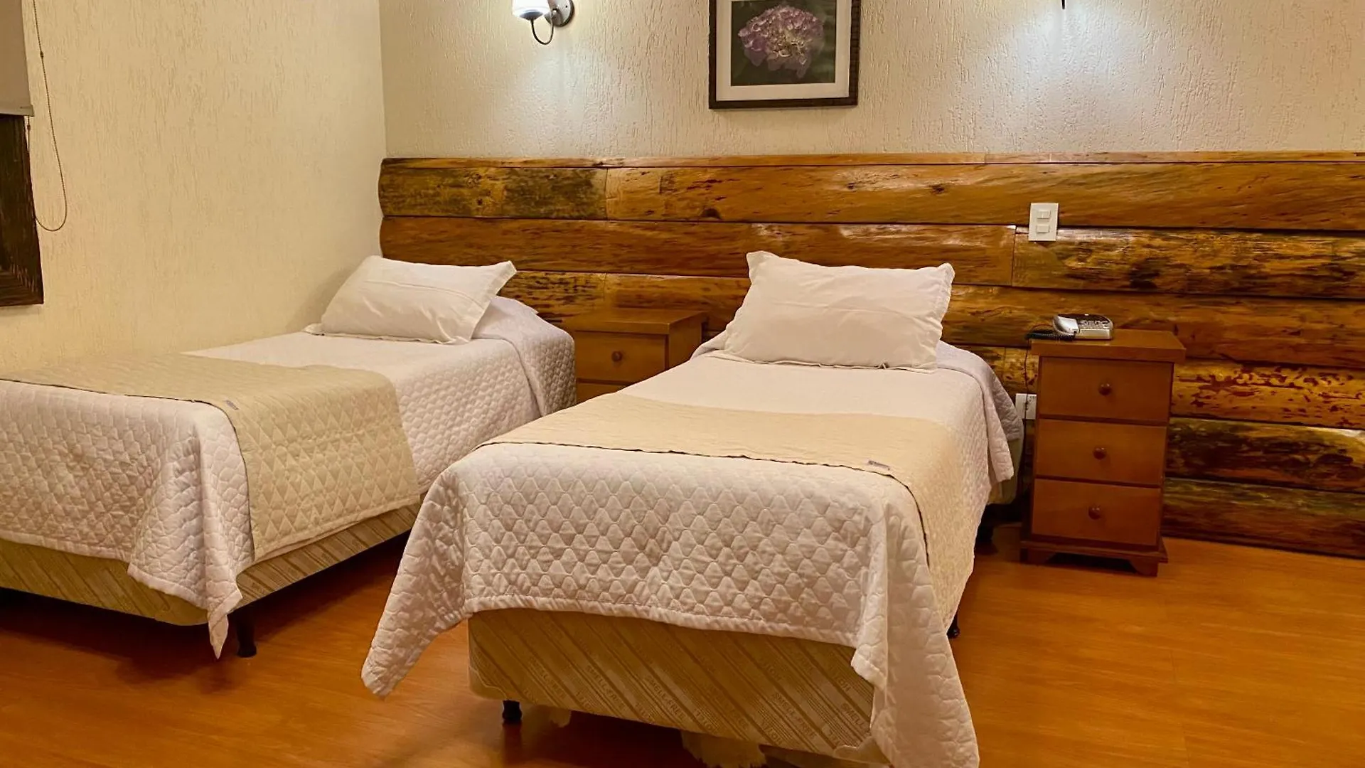 Hotel Savoy Excellence Campos do Jordão 4*,  브라질